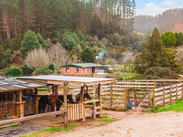 3789 State Highway 4 Ongarue_2