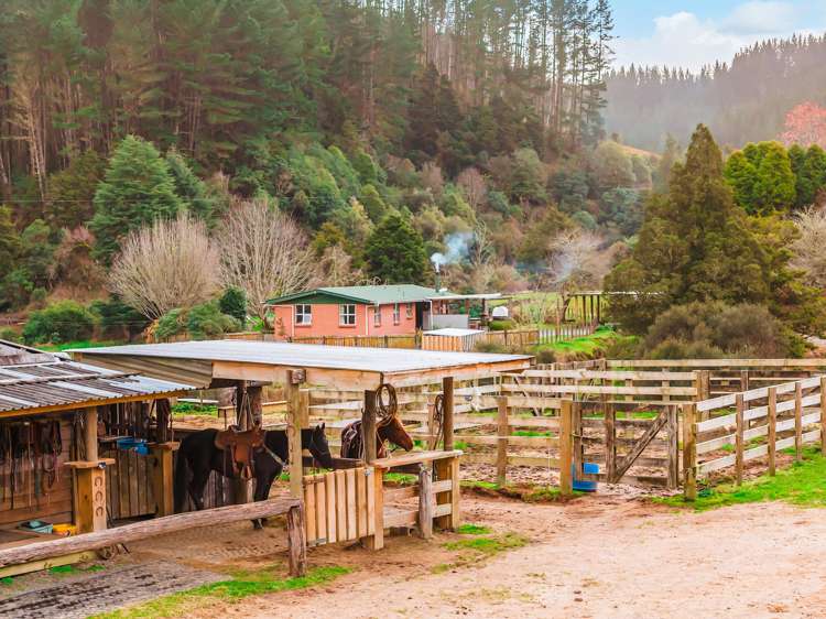 3789 State Highway 4 Ongarue_2