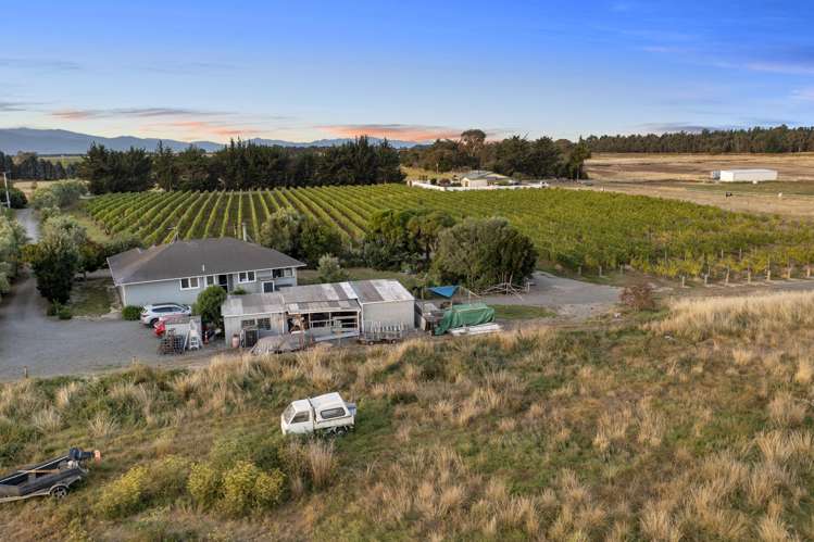 686 Dillons Point Road Dillons Point_19