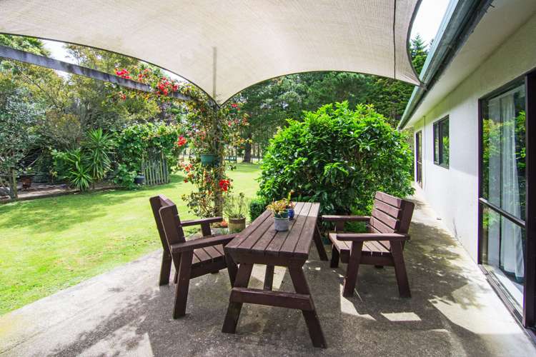 8 Mclaughlin Drive Tinui_12