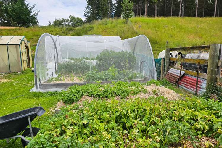 569 Hakataramea Valley Road Hakataramea_29