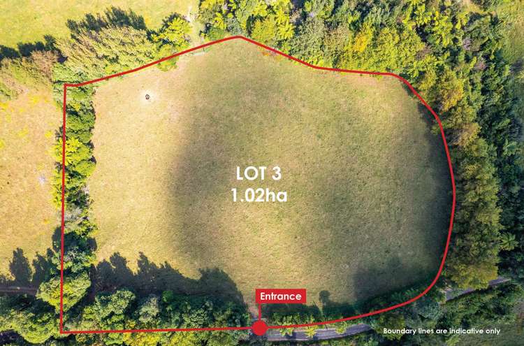 0n Umutekai Road Hillsborough_8