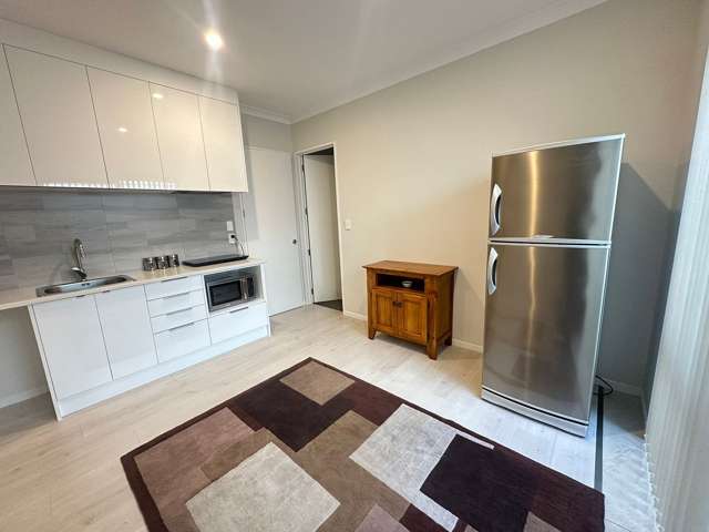 221C Murphys Road Flat Bush_1