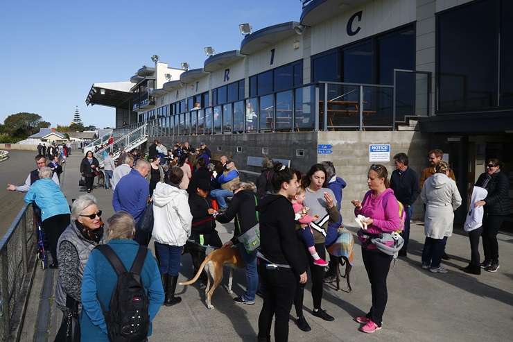 Wanganui Greyhound Racing Club is selling the stadium buildings and other improvements at the Hatrick Raceway site. Photo / Supplied