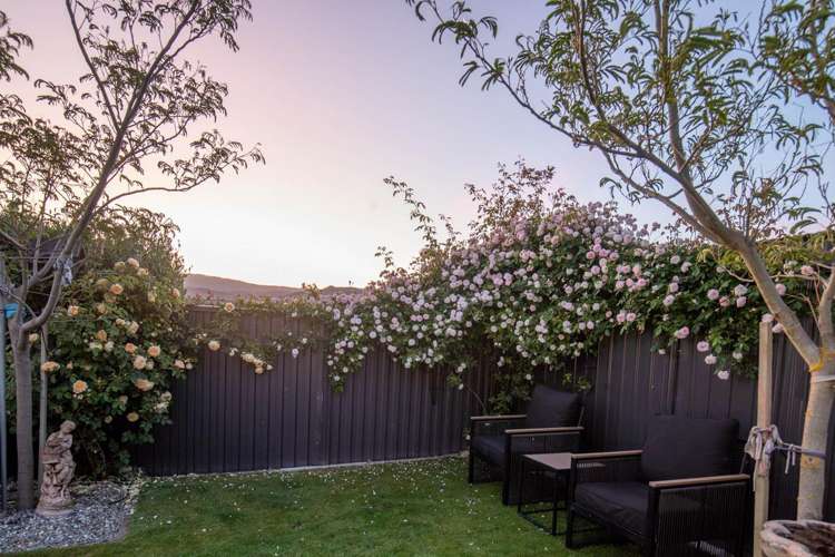 12 Willoughby Place Clyde_28