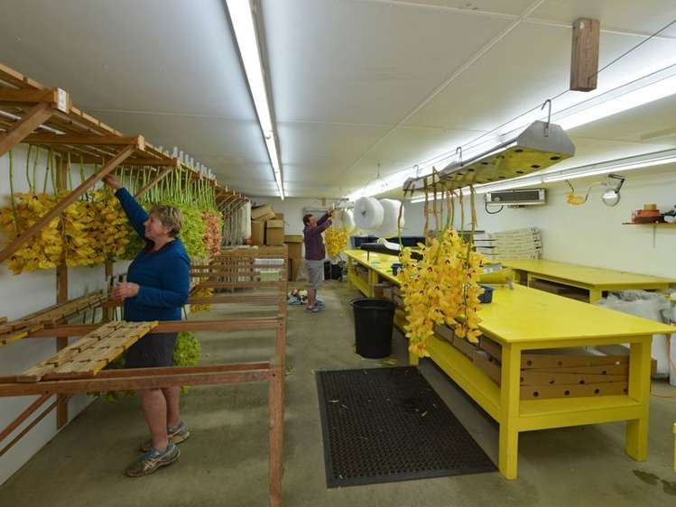 436 Crane Road Kauri_15