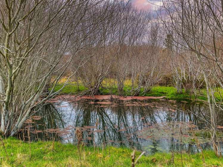 358 Hurunui Bluff Road_3