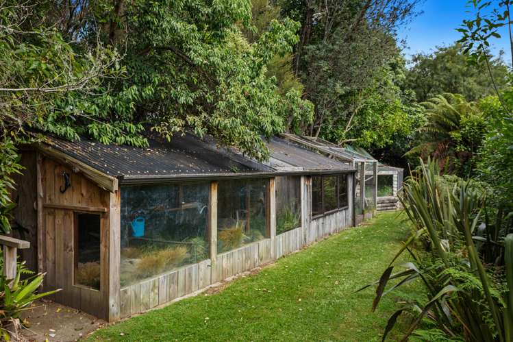 763b White Pine Bush Road Whakatane_18