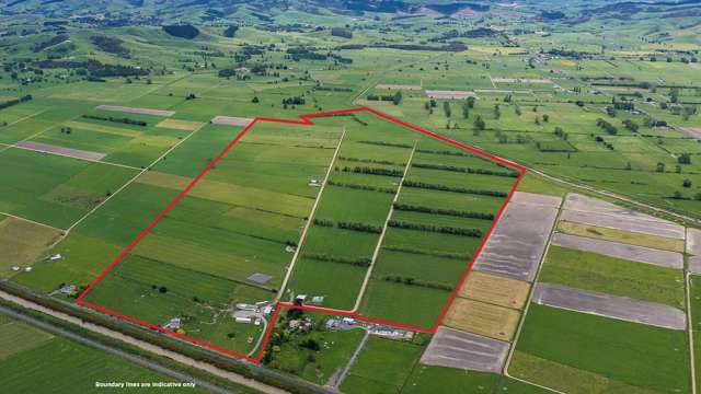 Versatile dairy holding with room to grow