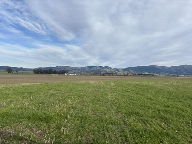 476 Hook School Road Makikihi_3