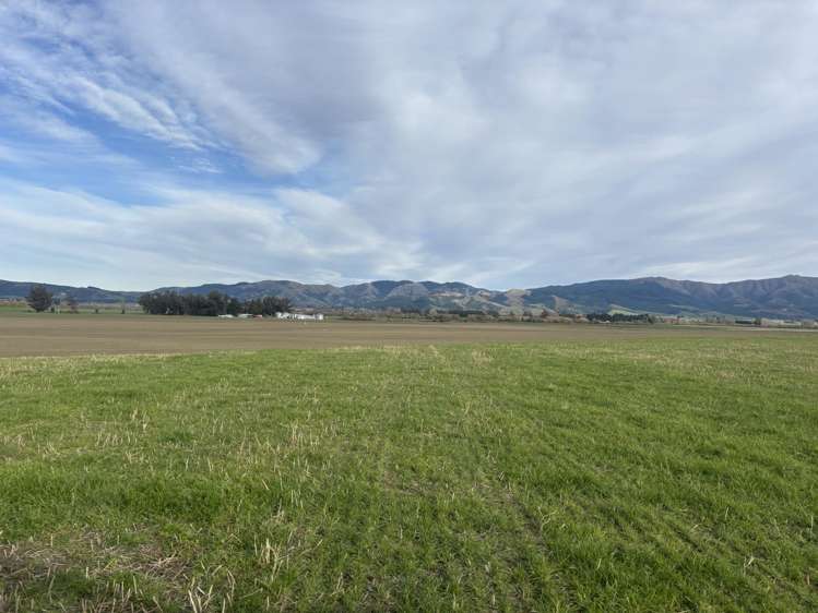 476 Hook School Road_3