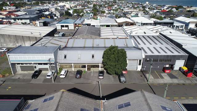 Character industrial on Fitzherbert Street