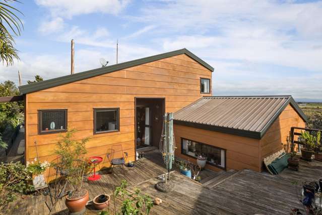 104A Logan Place Thames_1