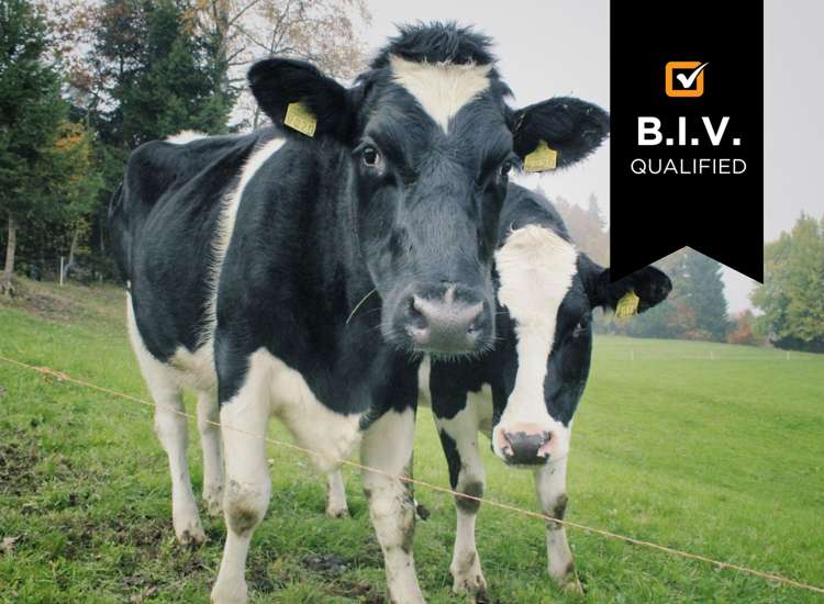 Address withheld Dannevirke_1