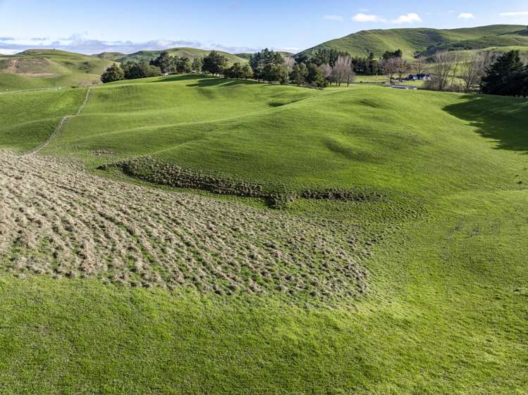 930 Te Aute Trust Road Poukawa_7