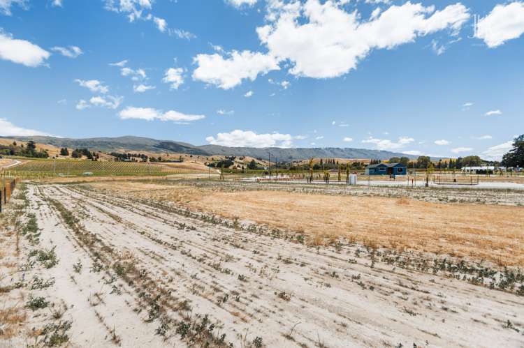 29 Wooing Tree Avenue Cromwell_11