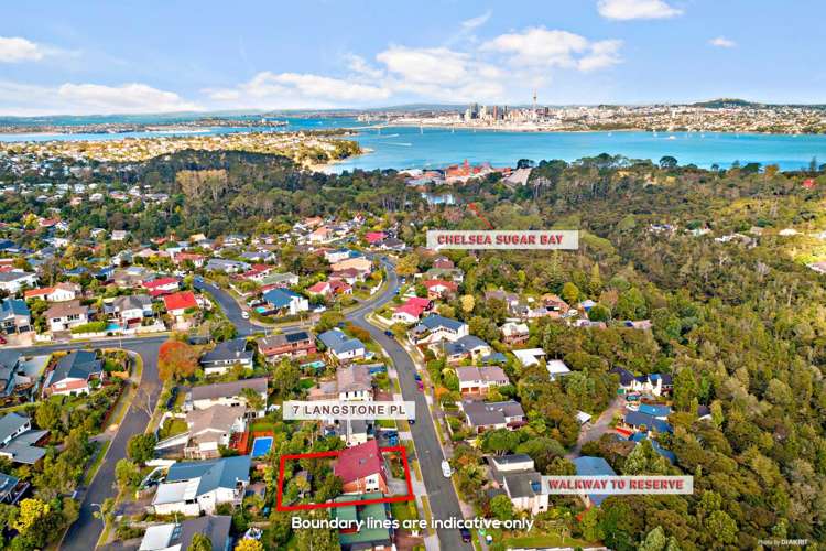 7 Langstone Place Chatswood_5