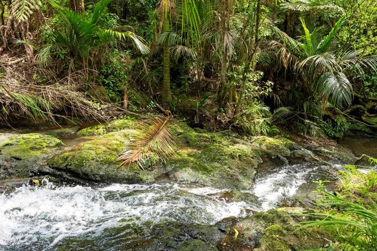 36 Robinson Road Coatesville_42