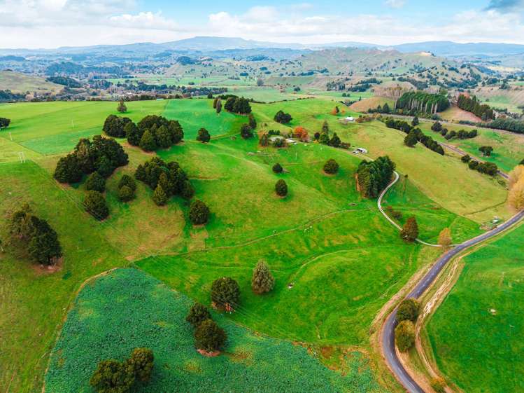 86 Makokomiko Road Manunui_20