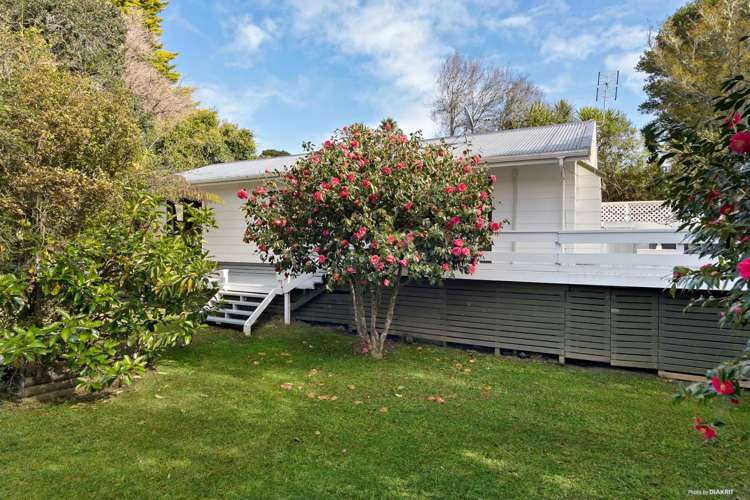 25a Matata Street_4