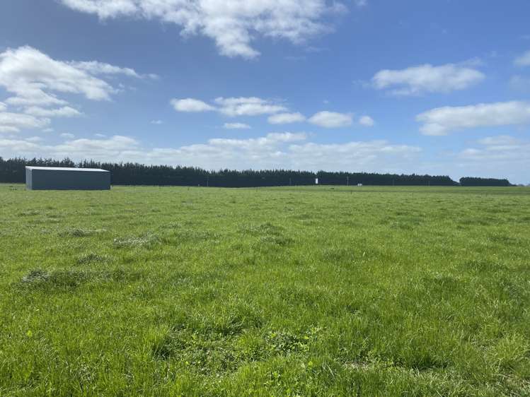 1005 Woodlands Invercargill Highway Longbush_7