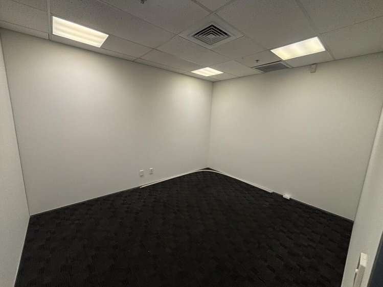 11 McDonald Street Morningside_8