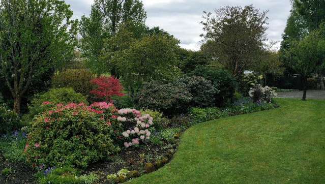 282 Mckenzie Road Browns_2