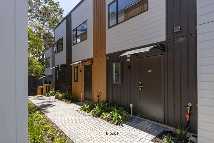 43 Don Oliver Lane Glen Eden_2