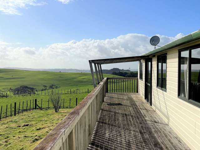 385 Kiwitahi Road Helensville_4