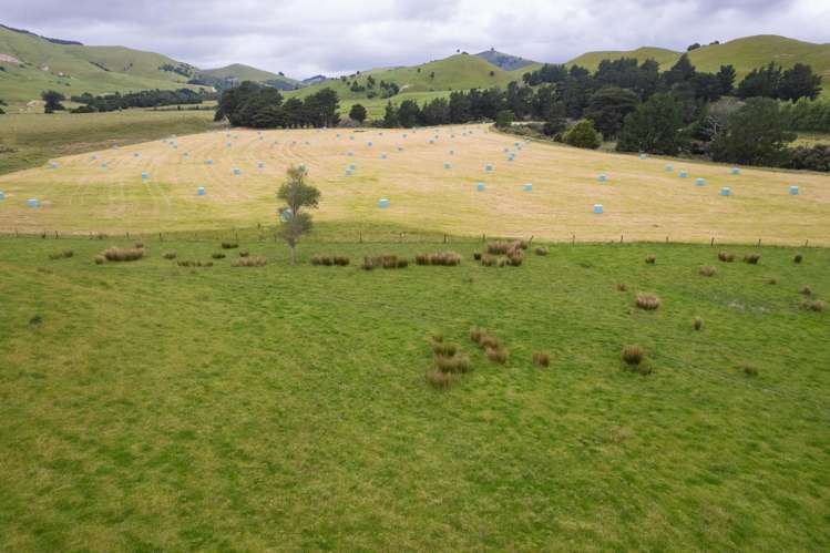83 Towai Road Dannevirke_5