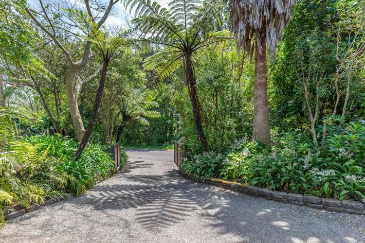 28 Wallace Loop Road Levin_24