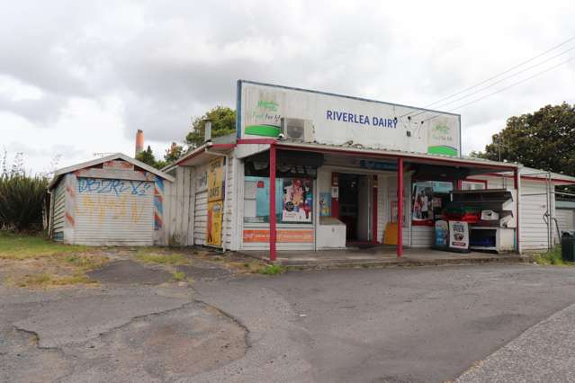 165 Harris Street Huntly_2