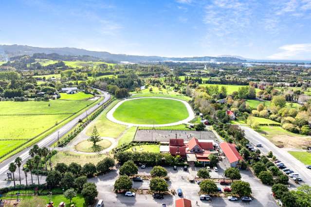 Freehold character investment in Matakana