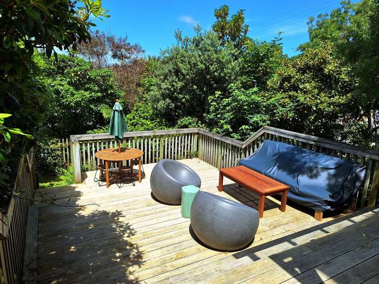 21A Mortimer Terrace Aro Valley_17