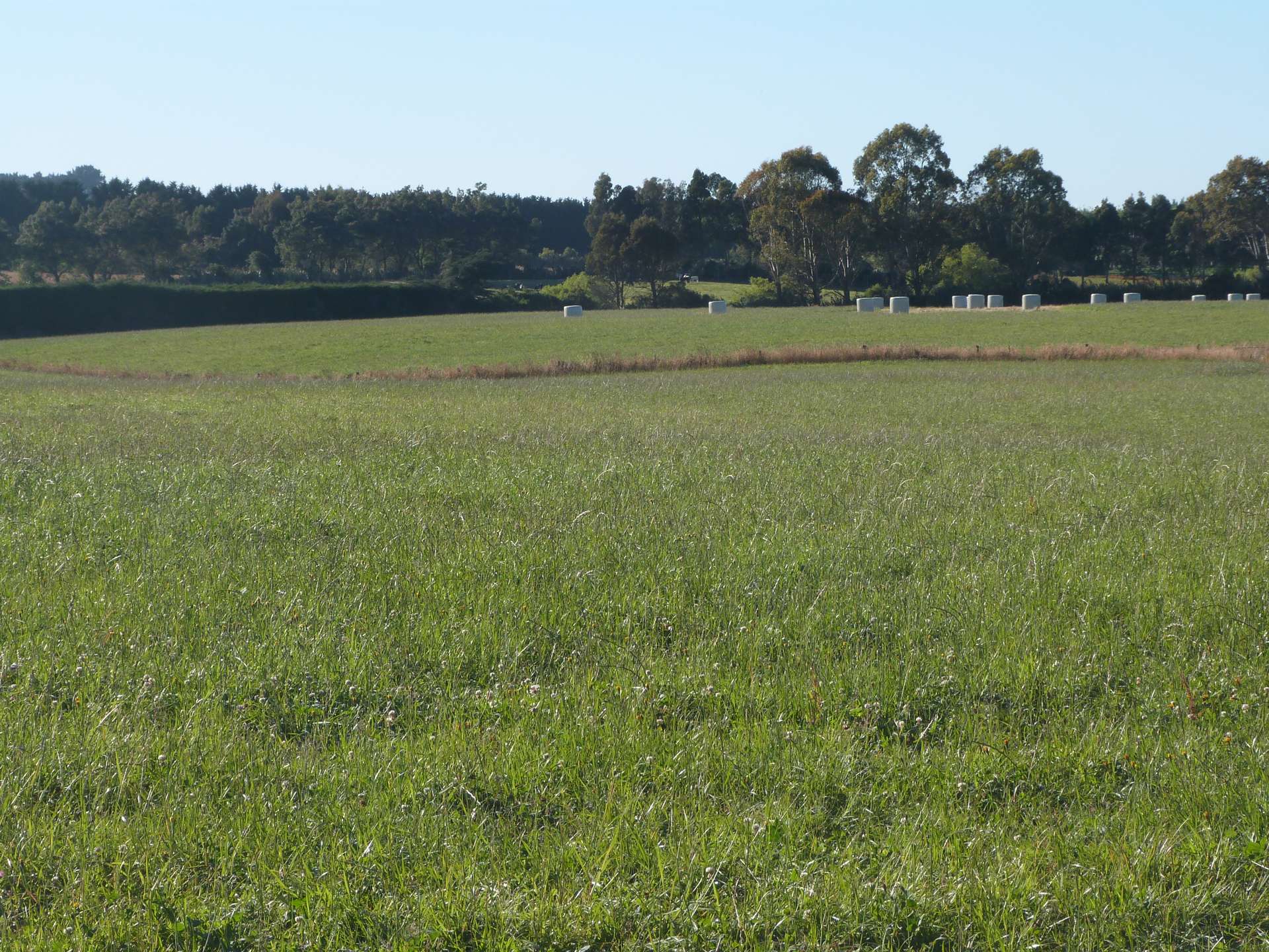 750 Rakahouka Hedgehope Road Mabel Bush_0