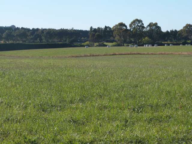 Cut and Carry Mabel Bush