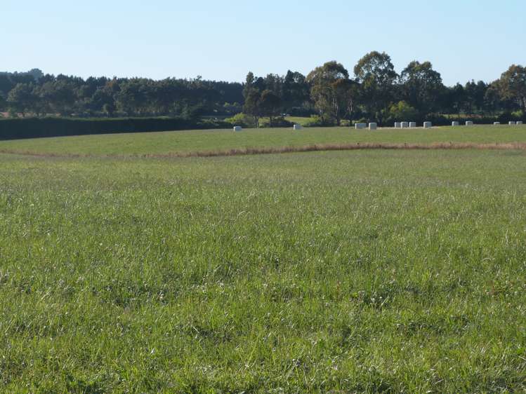 750 Rakahouka Hedgehope Road_0