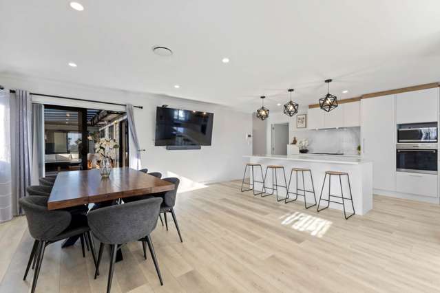 3 Toropapa Close Takanini_3