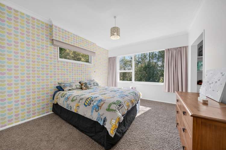 195 Park Road Parkvale_13