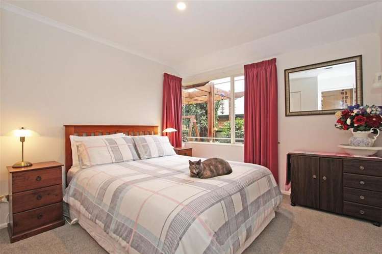 381 Suffolk Road Stoke_10