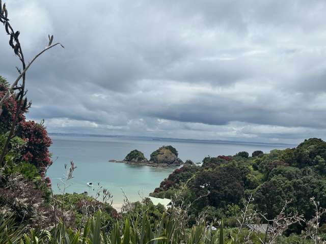 Woody Bay Wonder