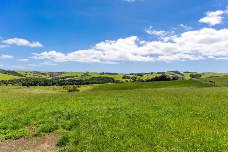 219 Tapu Bush Road Whangaripo_9