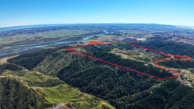 1036 Klondyke Road Port Waikato_2