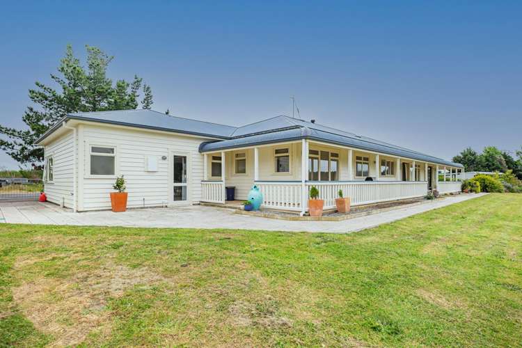 334 Motuiti Road Foxton_16