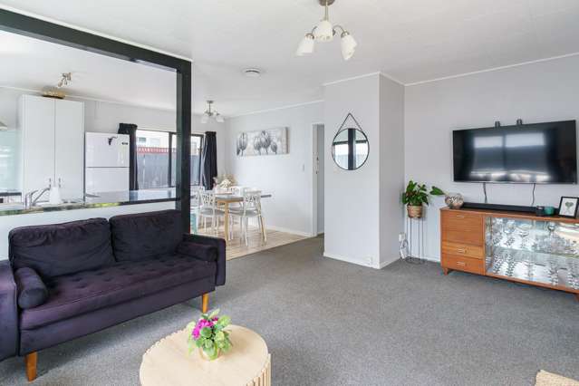 193B Guppy Road Taradale_4