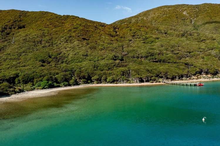 Lot 4 + 5 Te Aroha Bay, Otanerau Bay Marlborough Sounds_10