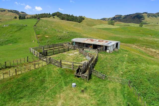 266 Tikitiki Road Te Mapara_4