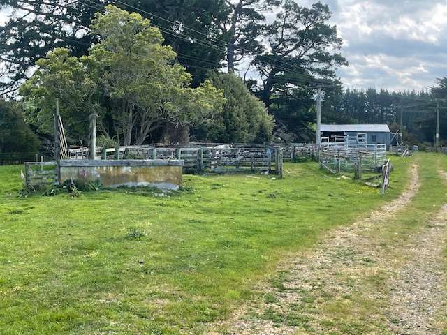 87 Otanga Road Dannevirke_4