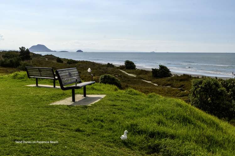 4 Blanche Road Papamoa_23