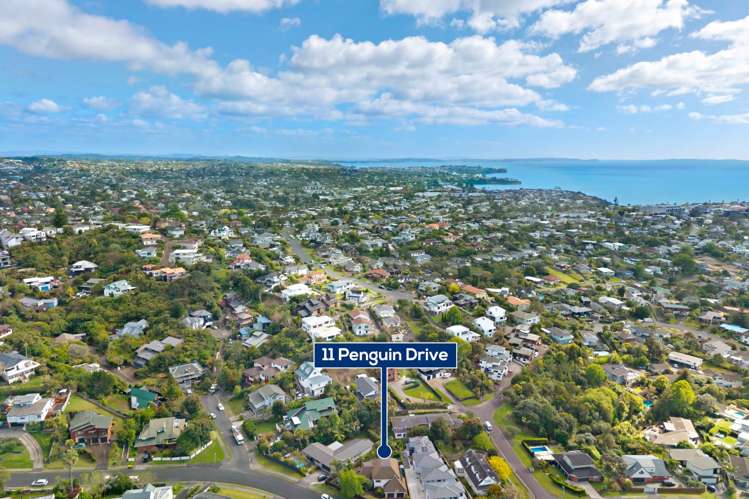 11 Penguin Drive Murrays Bay_31